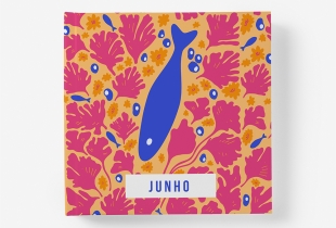 Álbum de Junho intro